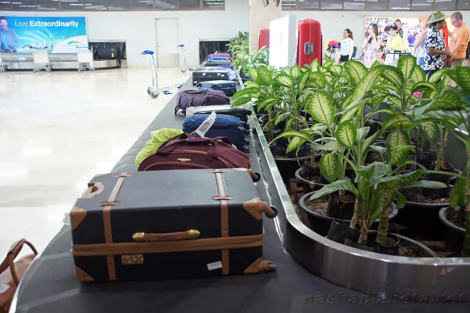 Простые советы для авиапассажиров: как не потерять багаж в аэропорту и самолете